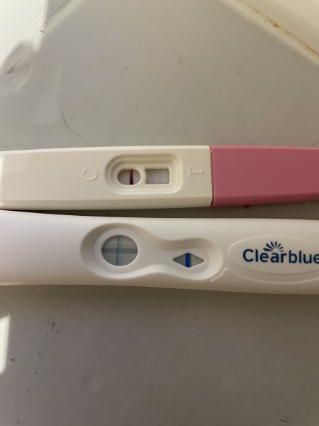 Clear blue evap line or positive result 