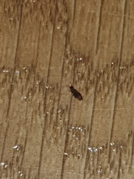 What is this?