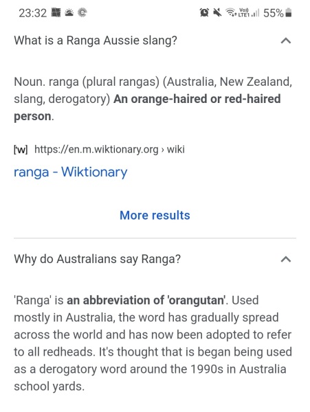 Why the fuck are some English people so nasty about ginger hair?
