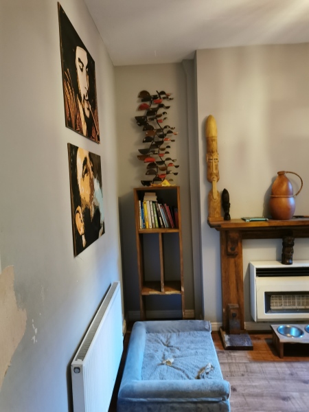Anyone bored enough to help me plan my dining room redecoration? o