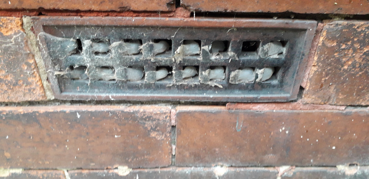 How much for a damp proof course?