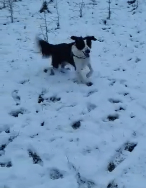 Winter Weather Outlook. Part 2: Into January '23