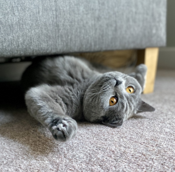 Thread 4 - TalkExiles: "The Planet Goes On Being Round"