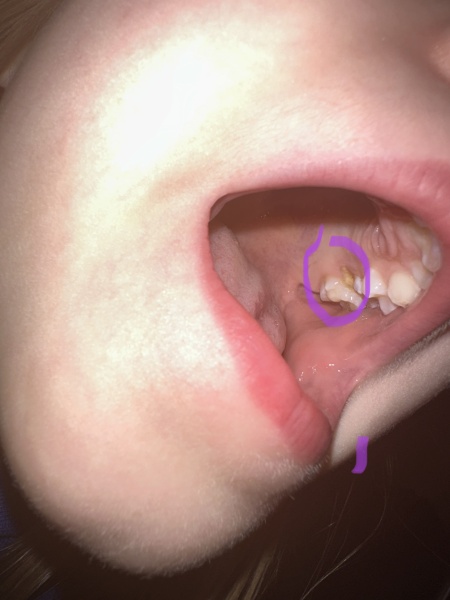 Dentist