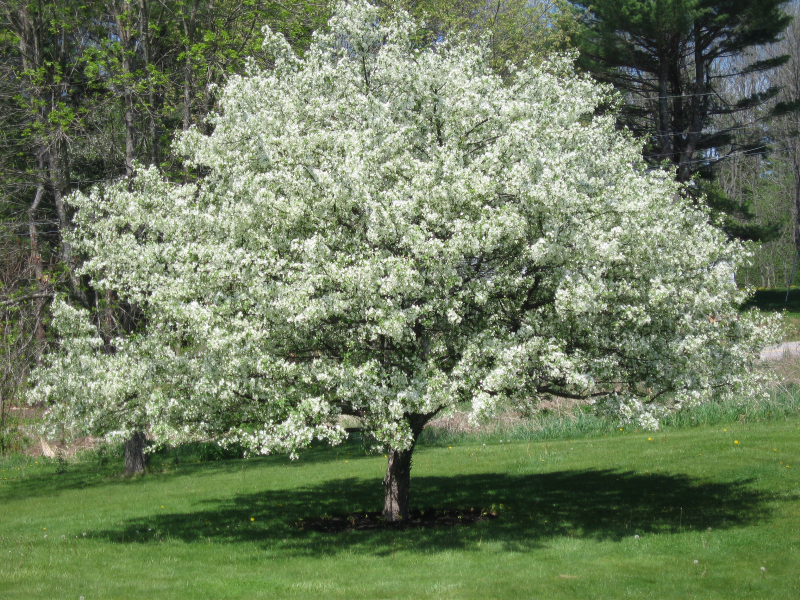 Thread 4 - TalkExiles: "The Planet Goes On Being Round"