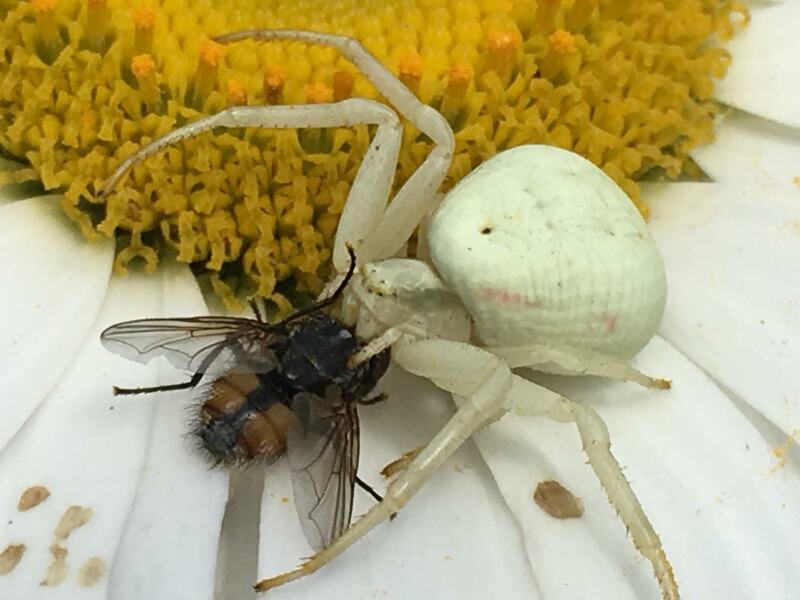 Thread 4 - TalkExiles: "The Planet Goes On Being Round"