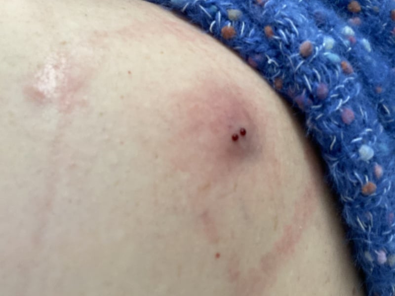 Cultivating a Sporner’s Delight