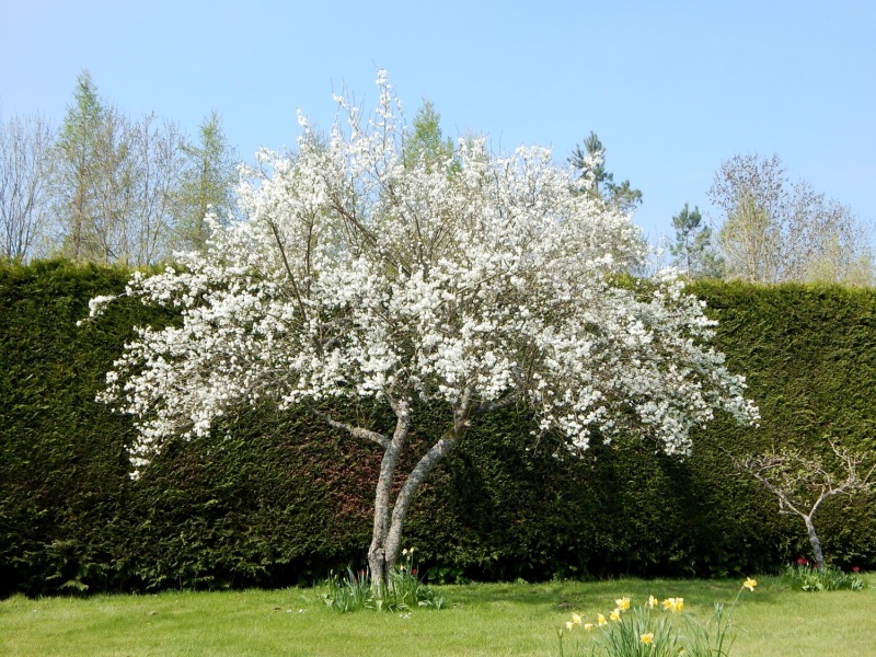 Thread 4 - TalkExiles: "The Planet Goes On Being Round"