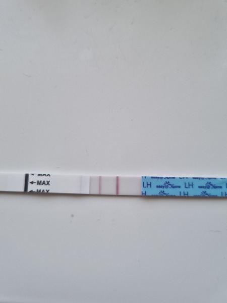 Ovulation test nightmare