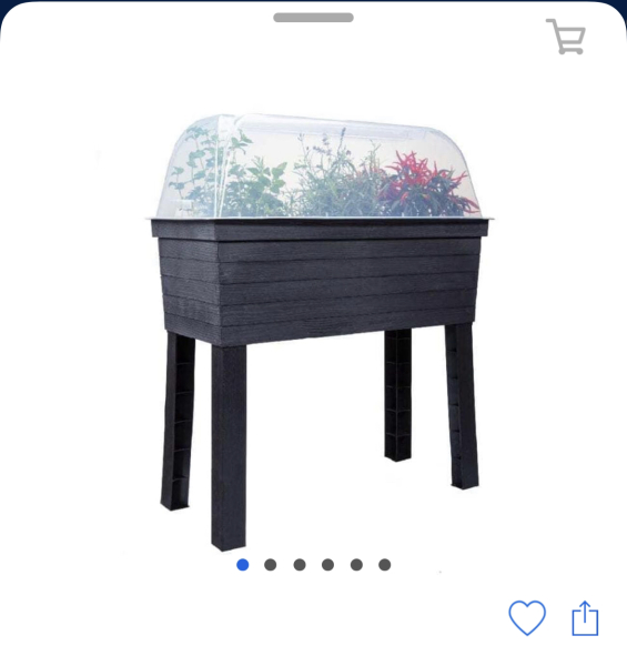 DH birthday present