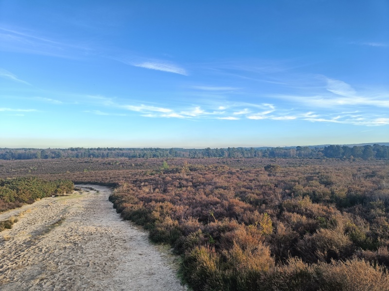 Come chat hiking with me!