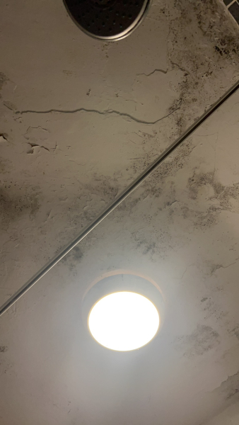 At my wits end with mould !!