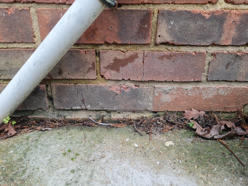 Is this rising damp? 