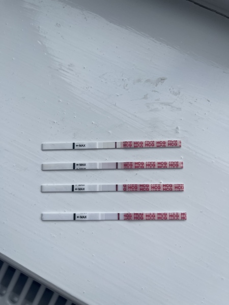 All I want for Christmas is a BFP- TTC September baby 🍁