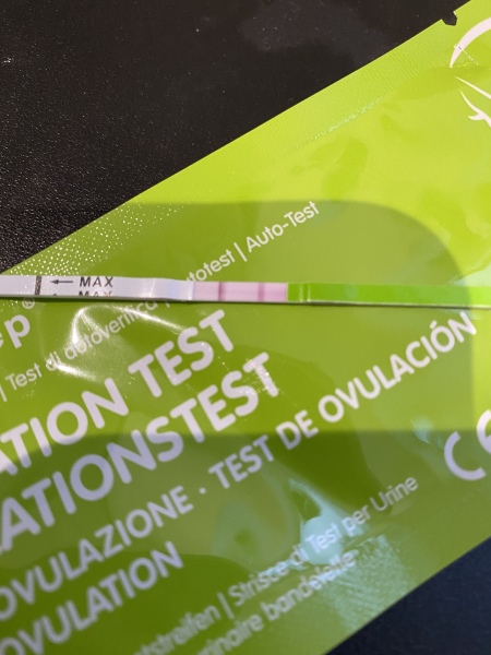 Is this ovulation test positive? (Pic)