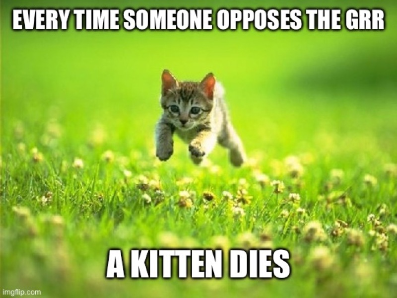 Sturgeon has accused some opponents to her GRR Bill of being "homophobic and racist" as well as "transphobic"