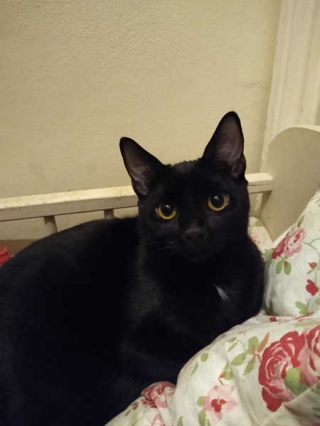 Thread 4 - TalkExiles: "The Planet Goes On Being Round"