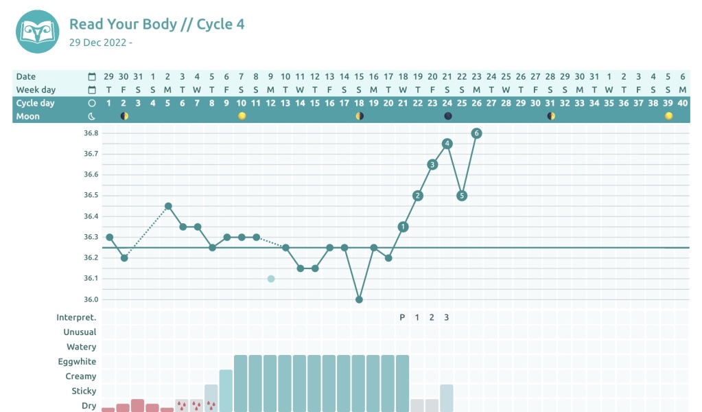 Question about trans women cycles