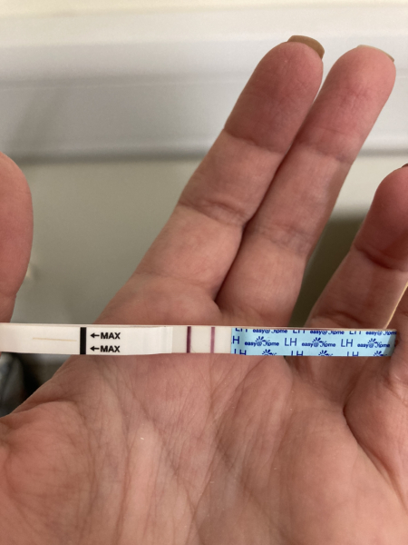 Positive ovulation test?