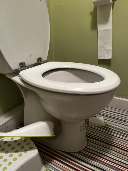 Please can you talk toilets to me?! In particular ones with proper-fitting seats!