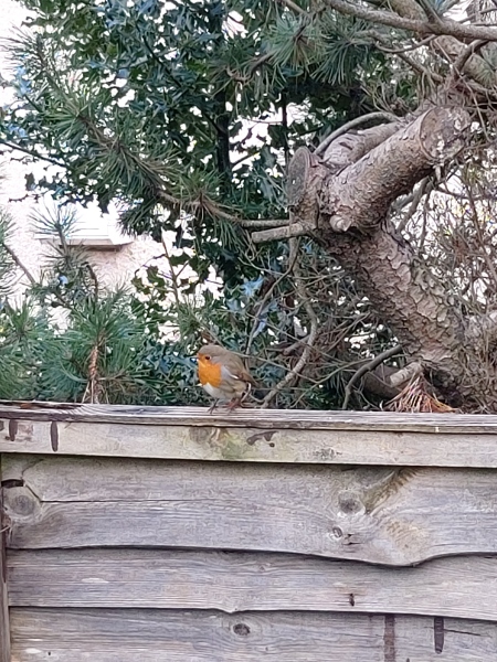 Any Witches Here?- Part 18