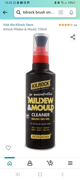 Which is the best mould cleaner?