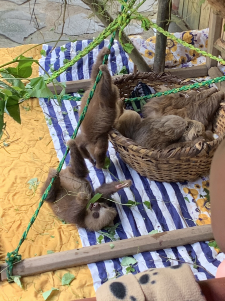 Costa Rica (or similar area) - what to wear 