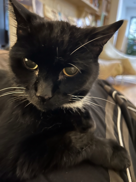 Thread 4 - TalkExiles: "The Planet Goes On Being Round"