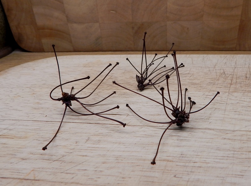 Thread 4 - TalkExiles: "The Planet Goes On Being Round"