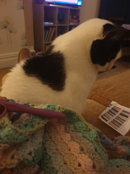 It's Crochet, Knit & Natter 10: New Year, New Yarn, New Thread!