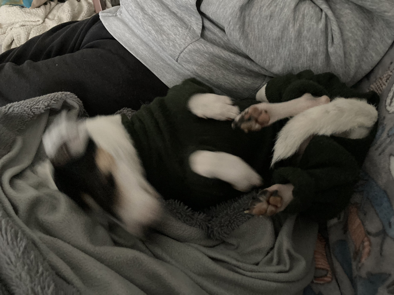Wearing a jumper overnight in a cold room