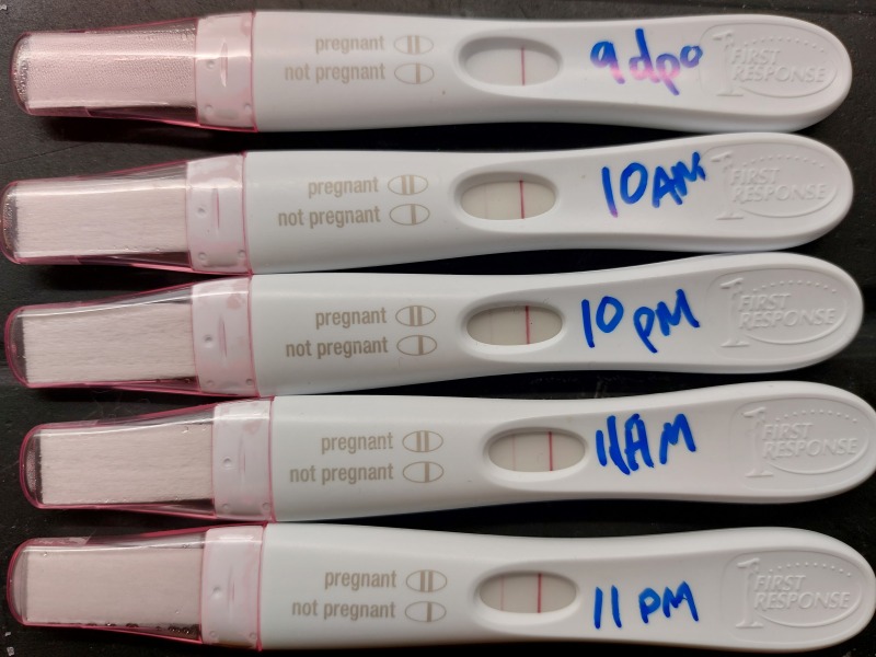 January Testers (TTC September/October🎃🍂)