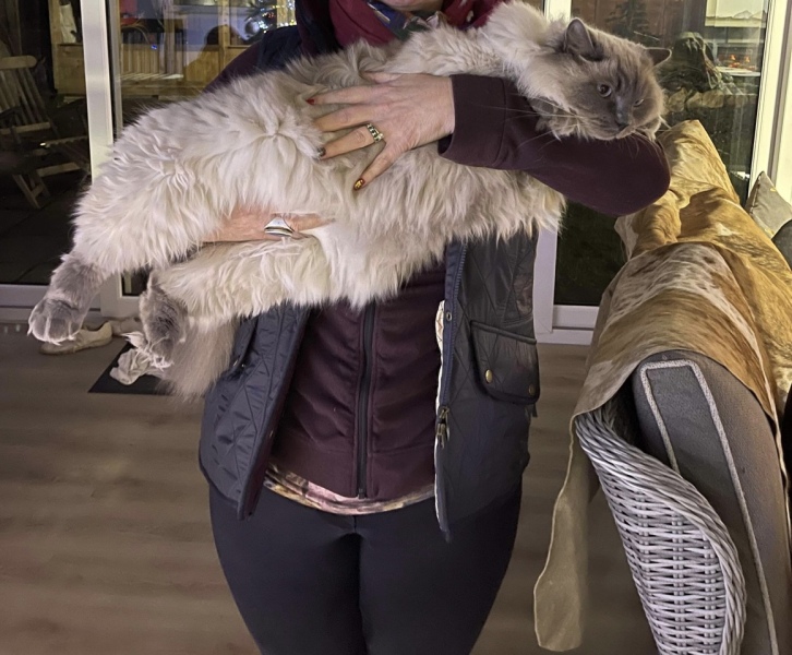 Can we have a cat photo thread ? I’m thinking of getting a cat 