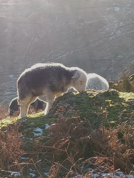 Come chat hiking with me!