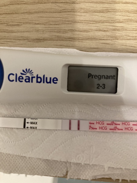 Who’s in their fertile window now?