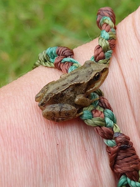 Any Witches Here?- Part 17.