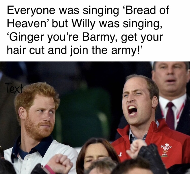 Royal Family meme thread- part 2