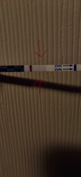Is this a line? 