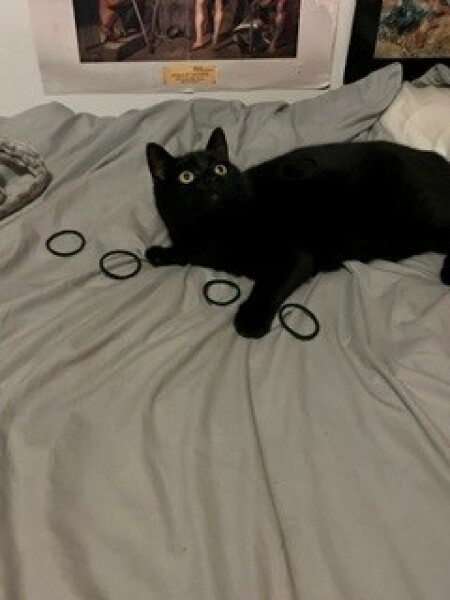 Thread 4 - TalkExiles: "The Planet Goes On Being Round"