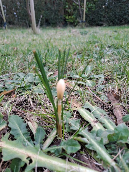 Thread 4 - TalkExiles: "The Planet Goes On Being Round"