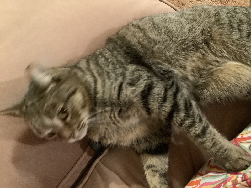 CENTER 2023 thread 2: support thread for those doing CENTER (or MOVE)