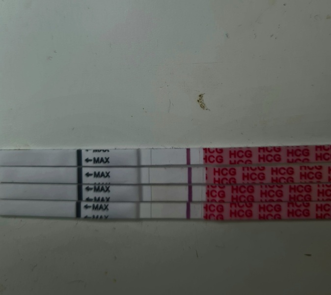 Wondfos weird lines, help?!