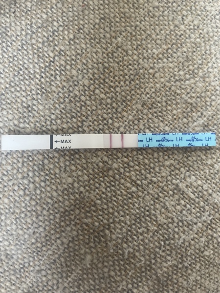 Positive opk?