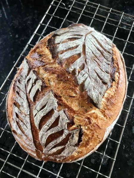 Jan '23 Low Carb Bootcamp - Week 2 - how did you get on?!