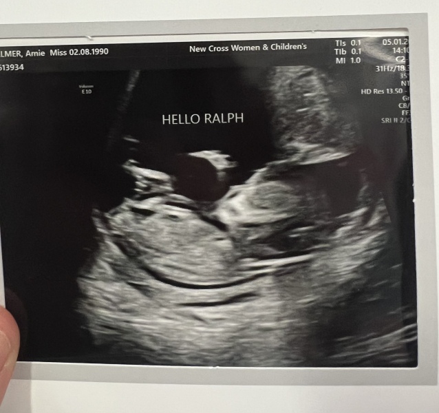 Scan pic- nub theory gender guesses for fun 💜💚