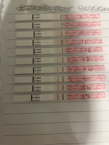 Pregnant straight after miscarriage with no period