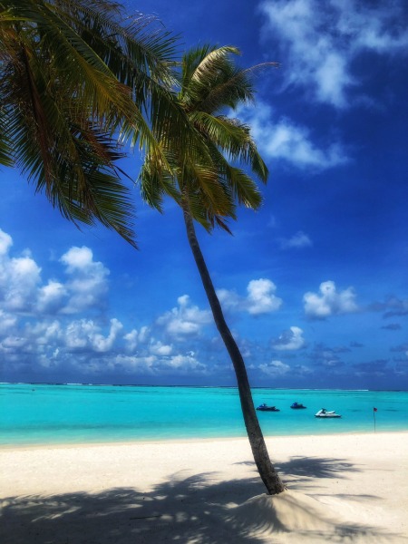 Maldives tips please