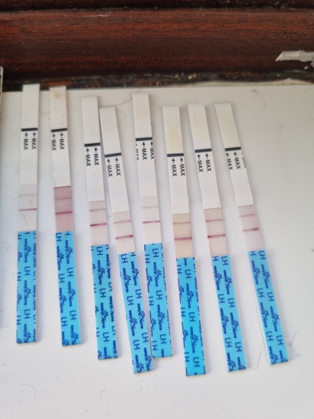 Please help!! Ovulation test have been consistently the same over the past 7 days...