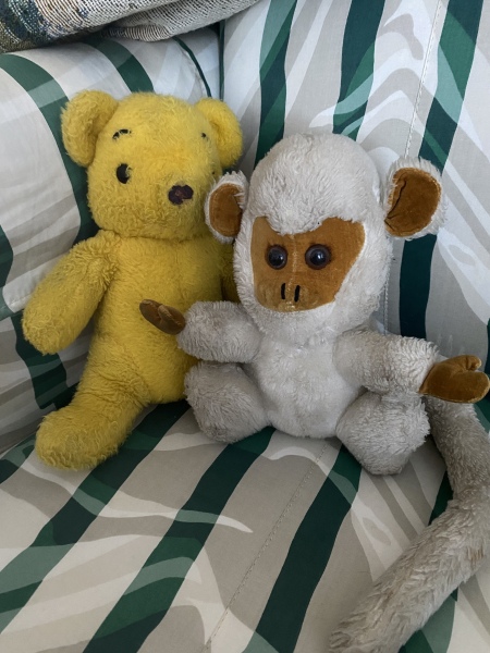 Harry reveals Charles carries a teddy because of childhood bullying