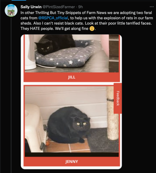 To Hate most Humans